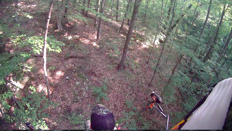 Deer Hunting: Early Season Tips
