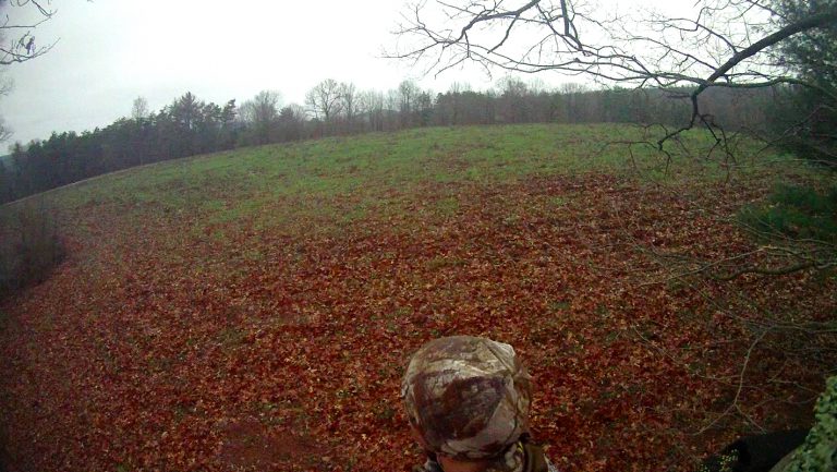 Late Season Deer Hunting Tips: The Final Stand
