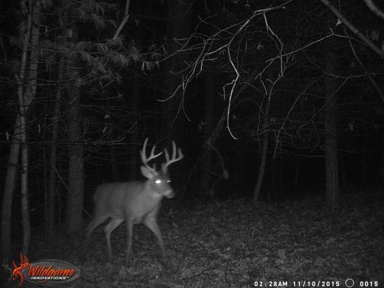 2015 Archery Season: Recap