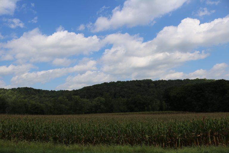 Planning An Out Of State Public Land Hunt: Ohio 2016