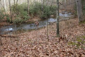 Deer Scouting PA Public Land Video: Part 1