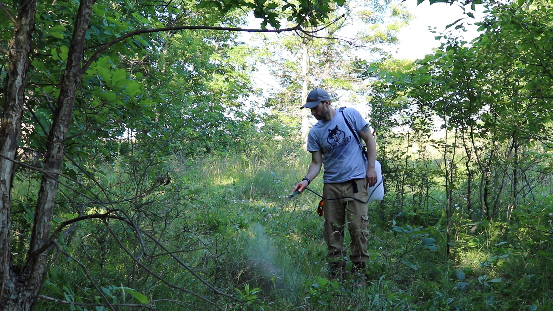 How To Plan A Hunting Food Plot On A Budget Truth From the Stand