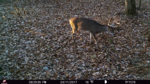 Podcast #49: Analysis of Our 2017 Deer Hunting Season