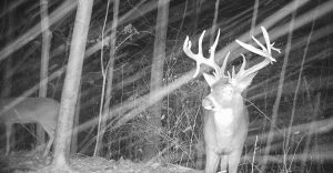 Podcast #105: 200 Inch Southern Ohio Giant—Dave Shade
