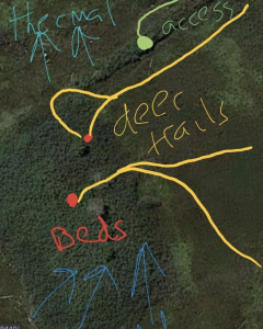 Public Land Strategies For Mature Deer