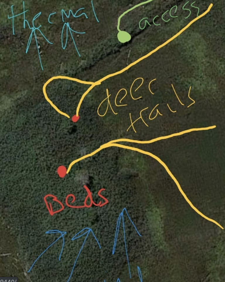 Deer Habitat: Identifying a Property’s Strengths And Weaknesses Part 2