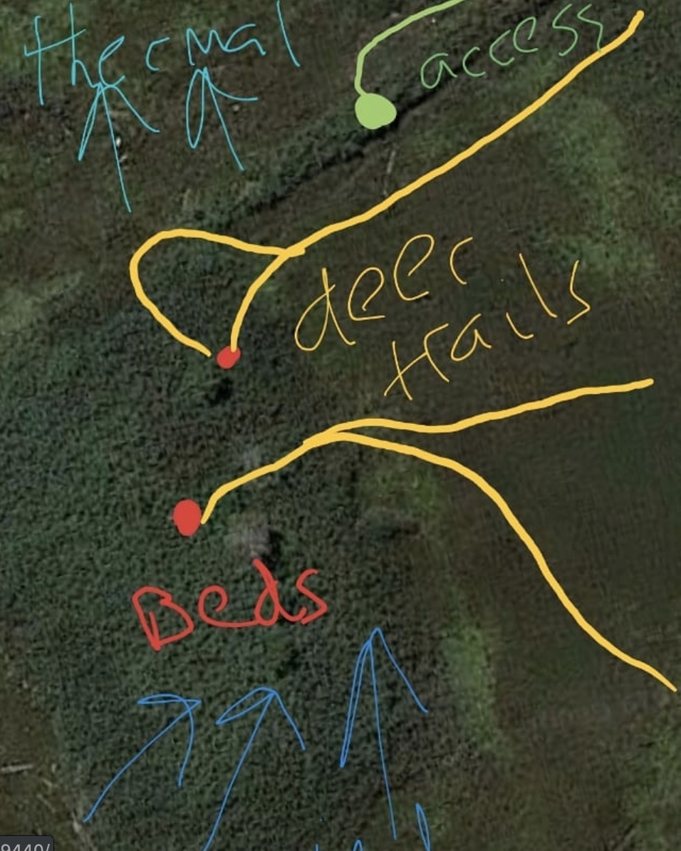 Deer Habitat: Identifying a Property’s Strengths And Weaknesses Part 2