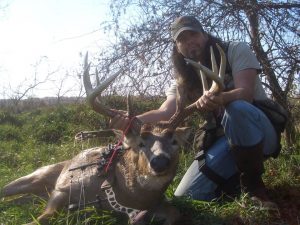 EP. 192: Hunting Beast Listener Q/A - Buck Bedding Part 2