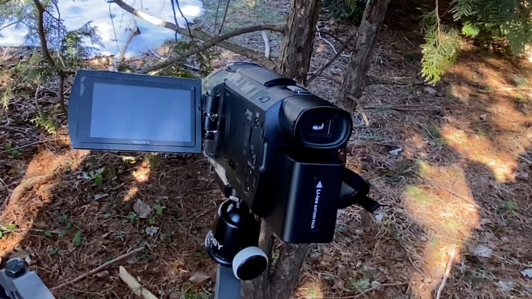 How To Hang Your Hunting Gear | Public Land Legal