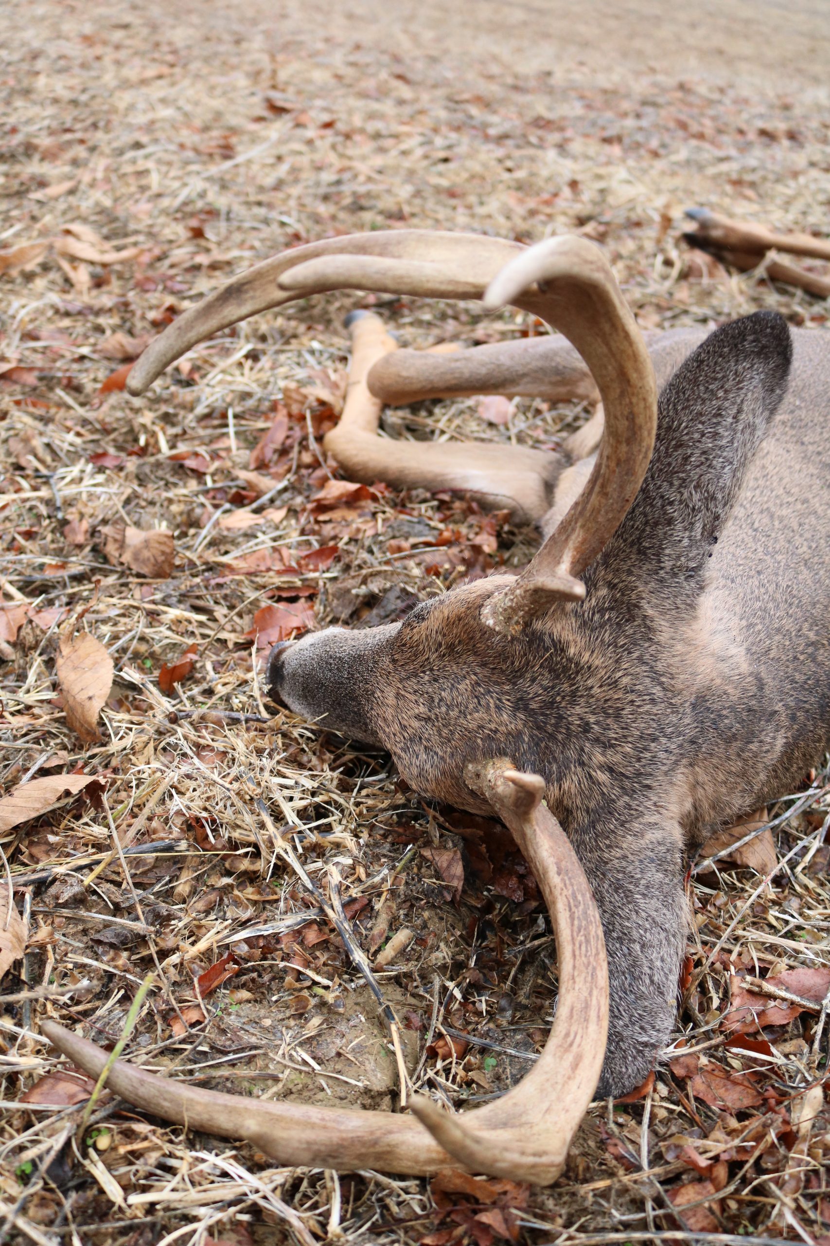 EP. 232: Military, Family, & Bowhunting