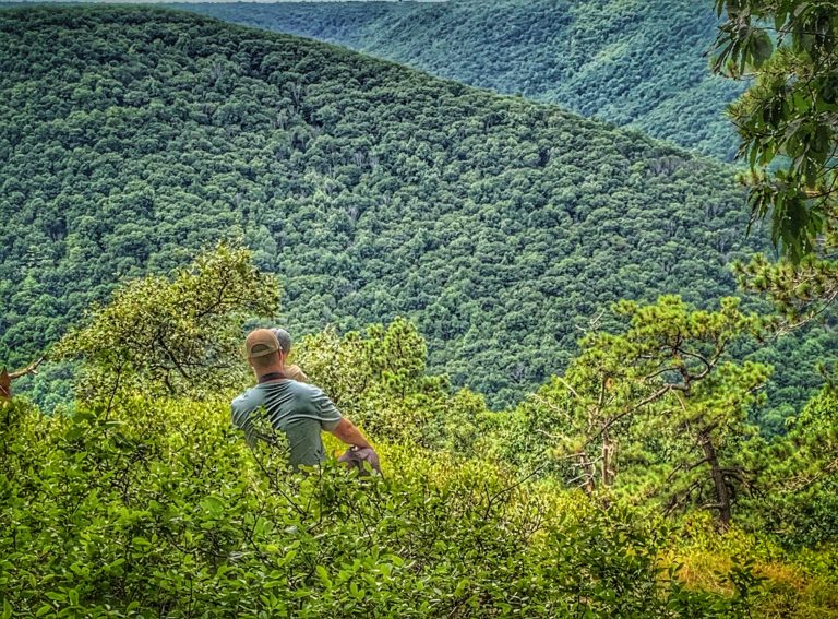 Glassing and Stalking Q&A with Josh Ilderton