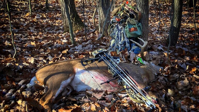 Revealed Bowhunting Secrets | Do They Still Work?