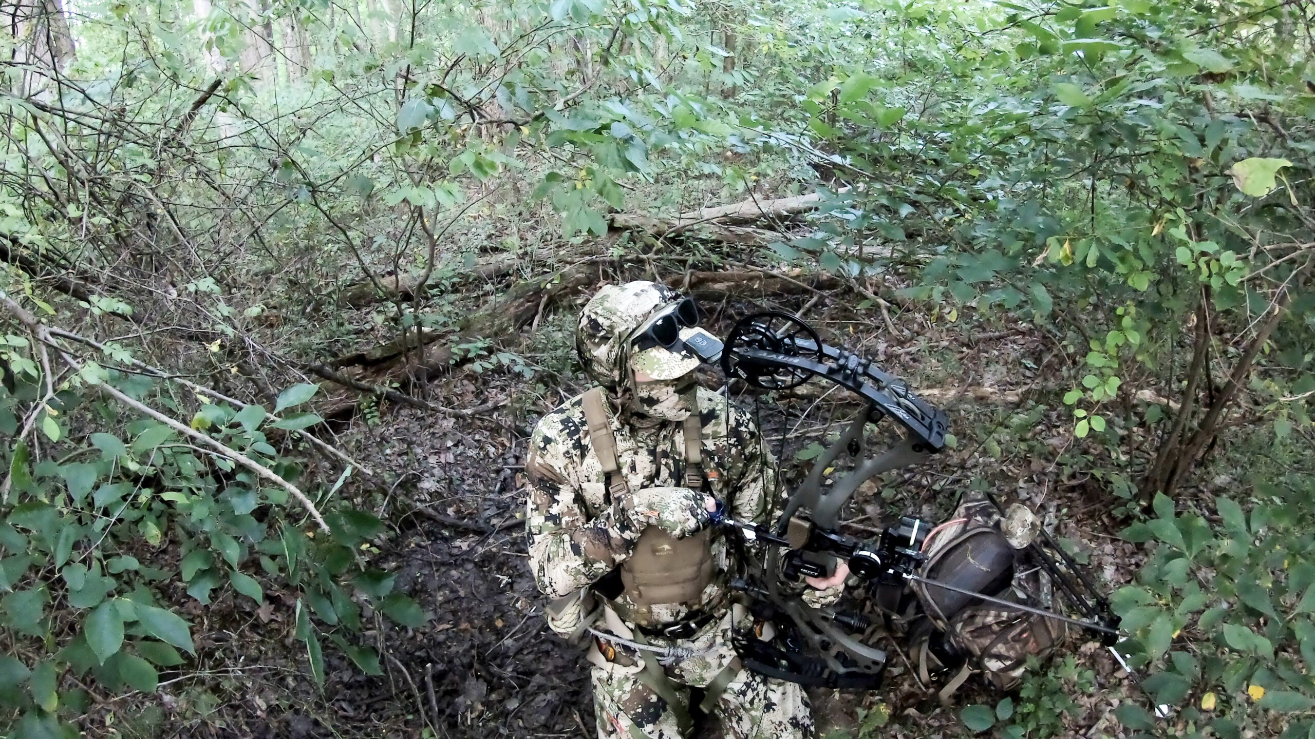 EP. 344 Early Season Deer Hunting Tactics & Gear In Your Bag Truth