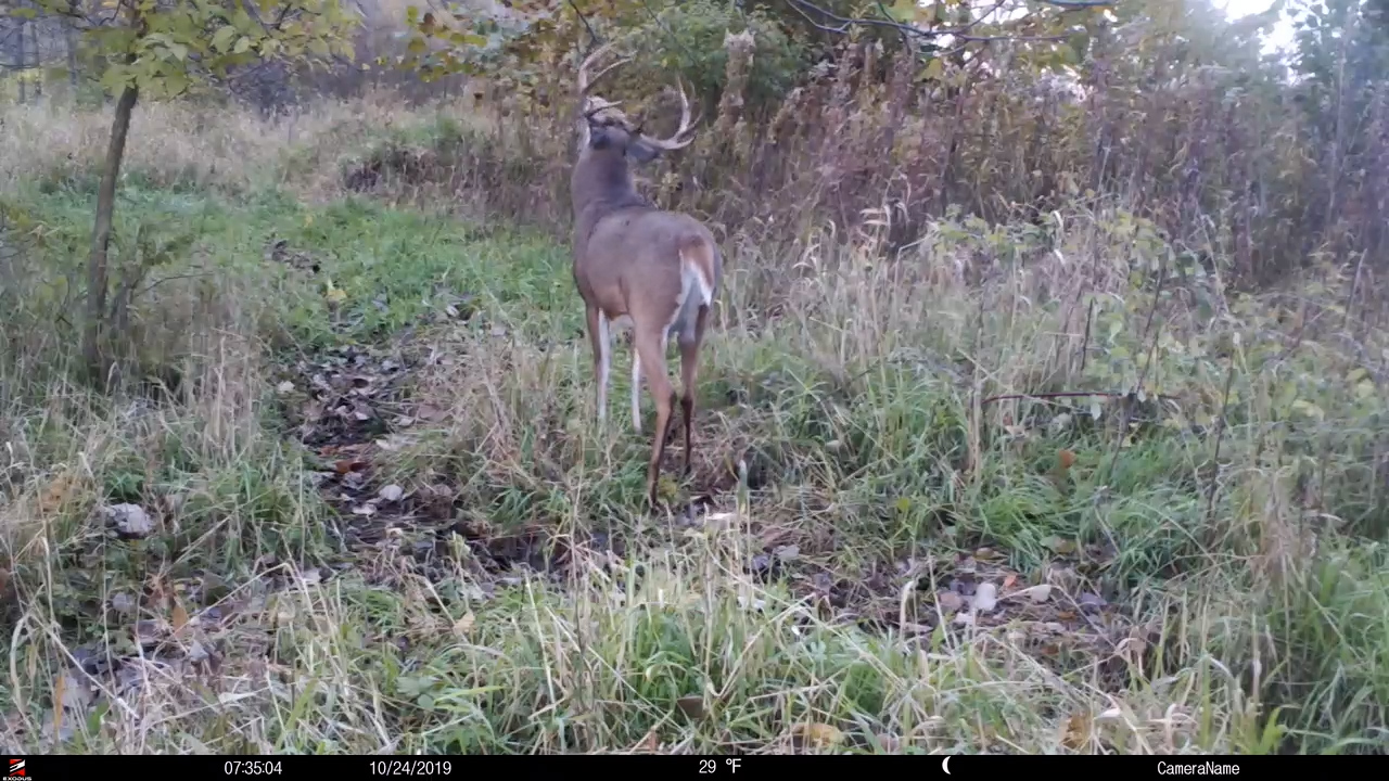 EP. 354: The Truth About Hunting Scrapes | Dr. Bronson Strickland | Deer Research