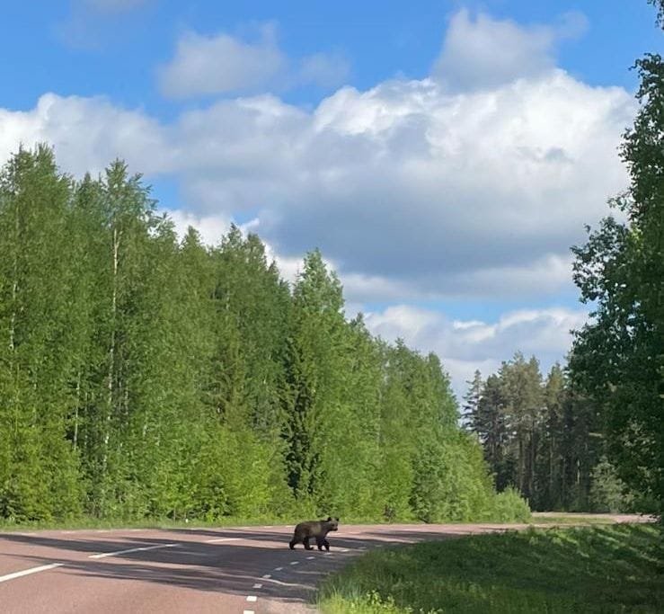 Hur du kan värma upp för en underbar sommar i Stockholm nästa vecka