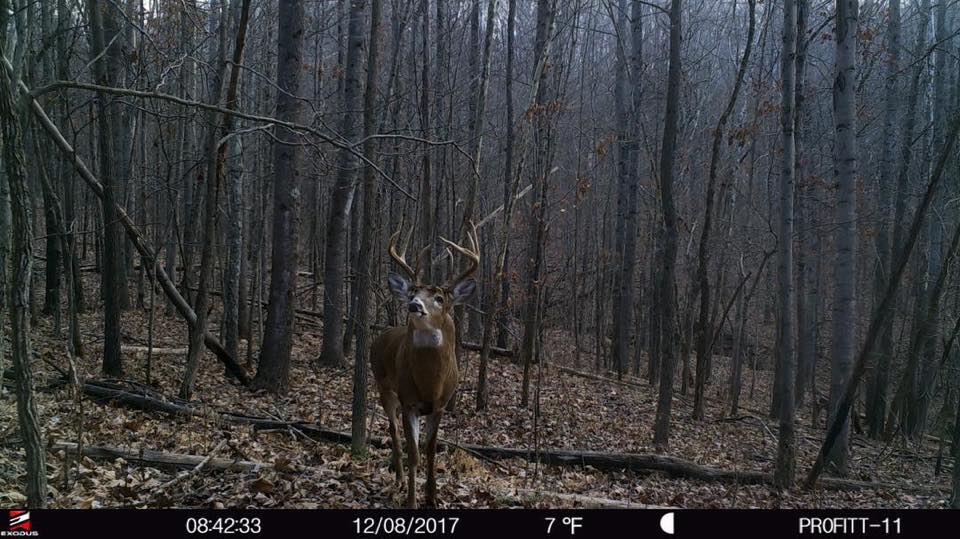 Podcast #108: DIY Report—Early Season & Pre Rut Public Land Trail Camera Strategies