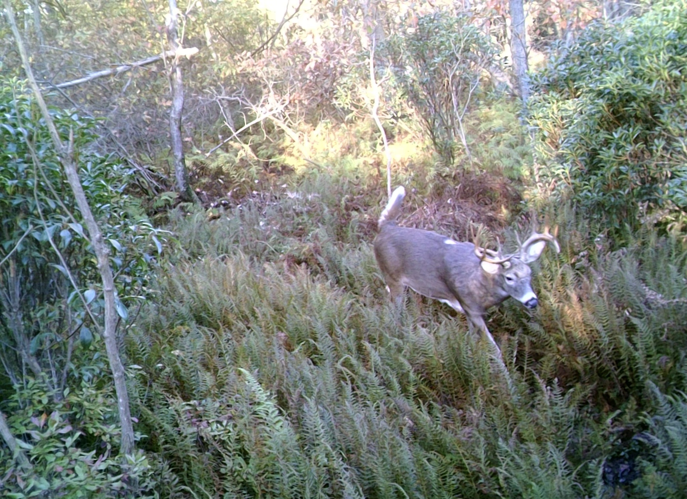 3 Hot Rut Funnels