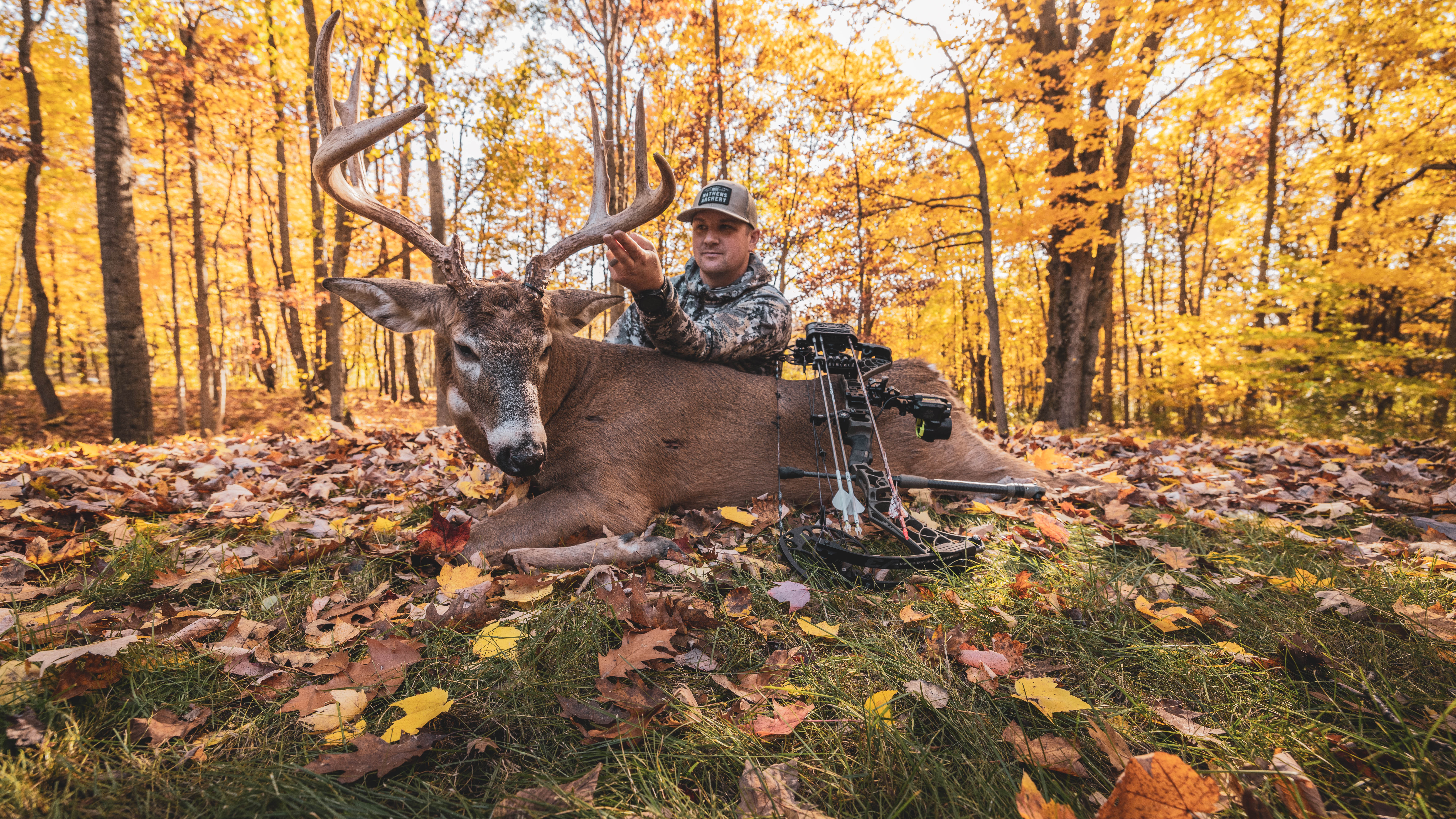 EP. 312: Michigan Spot and Stalk Success | Michigan Hammer Down