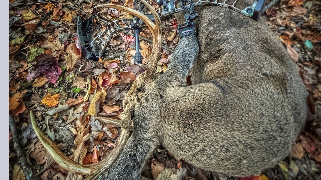 EP.473: The Importance Of Adaptability In Hunting
