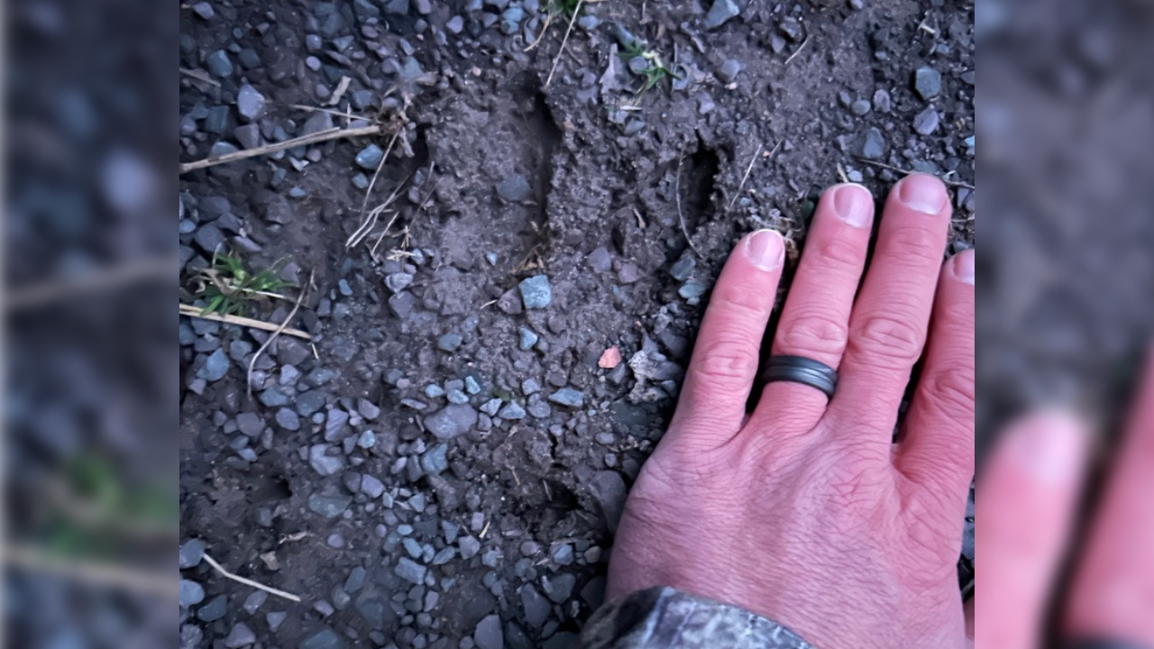 EP.477: Is Hunting Being Watered Down